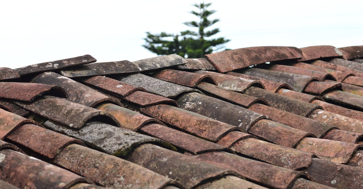 Choosing the Right Wood Shingle Roofing for UK Climate