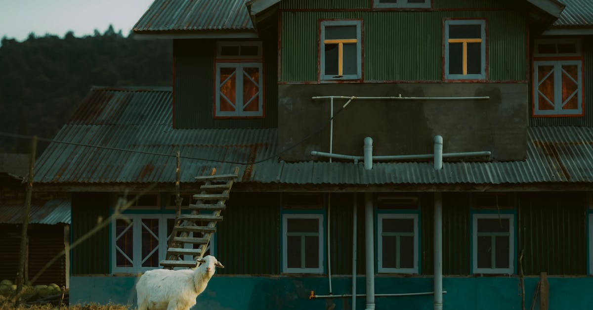 Environmental Considerations in Flat Roof Repairs