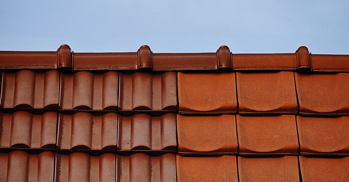 Exploring Pitched Roof Insulation Options for Energy Efficiency