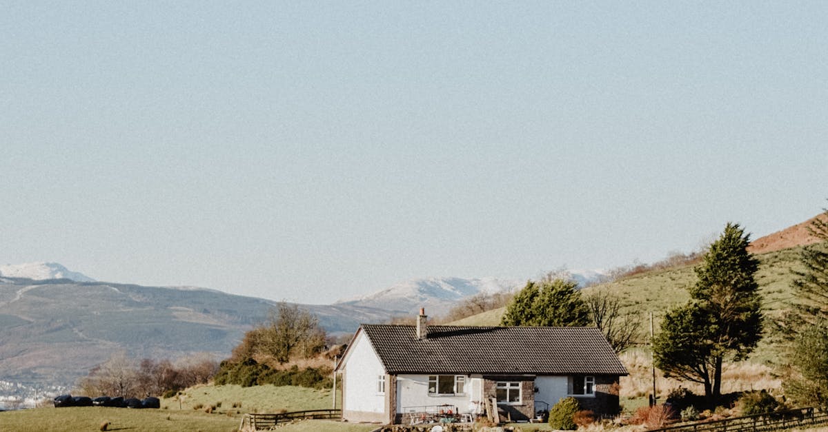 Maintenance Tips for Solar Panels Installed on UK Roofs