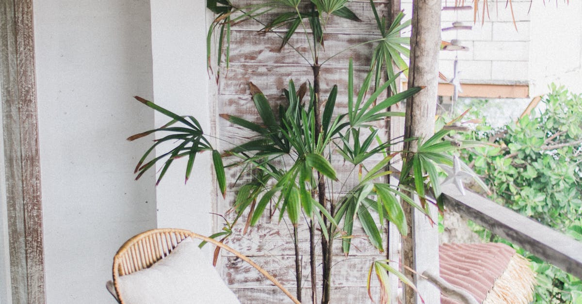 Pitched Roof Waterproofing Methods and Best Practices