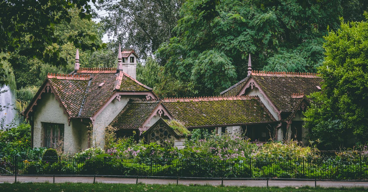 Safety Precautions for Roof Leak Repairs