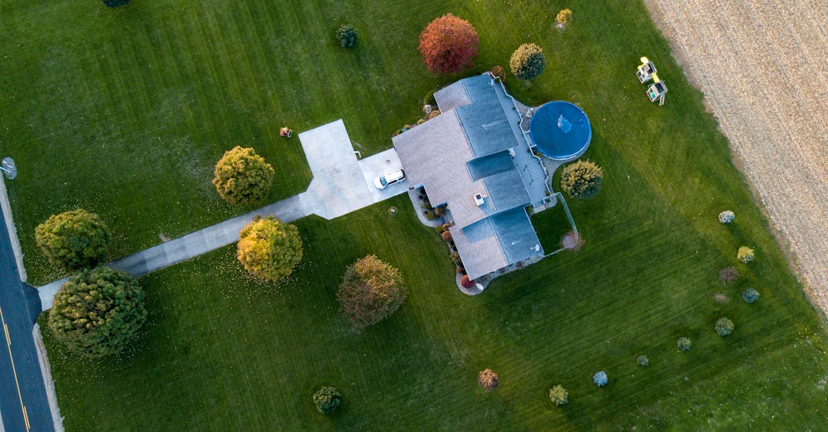 Types of Green Roof Systems for UK Buildings