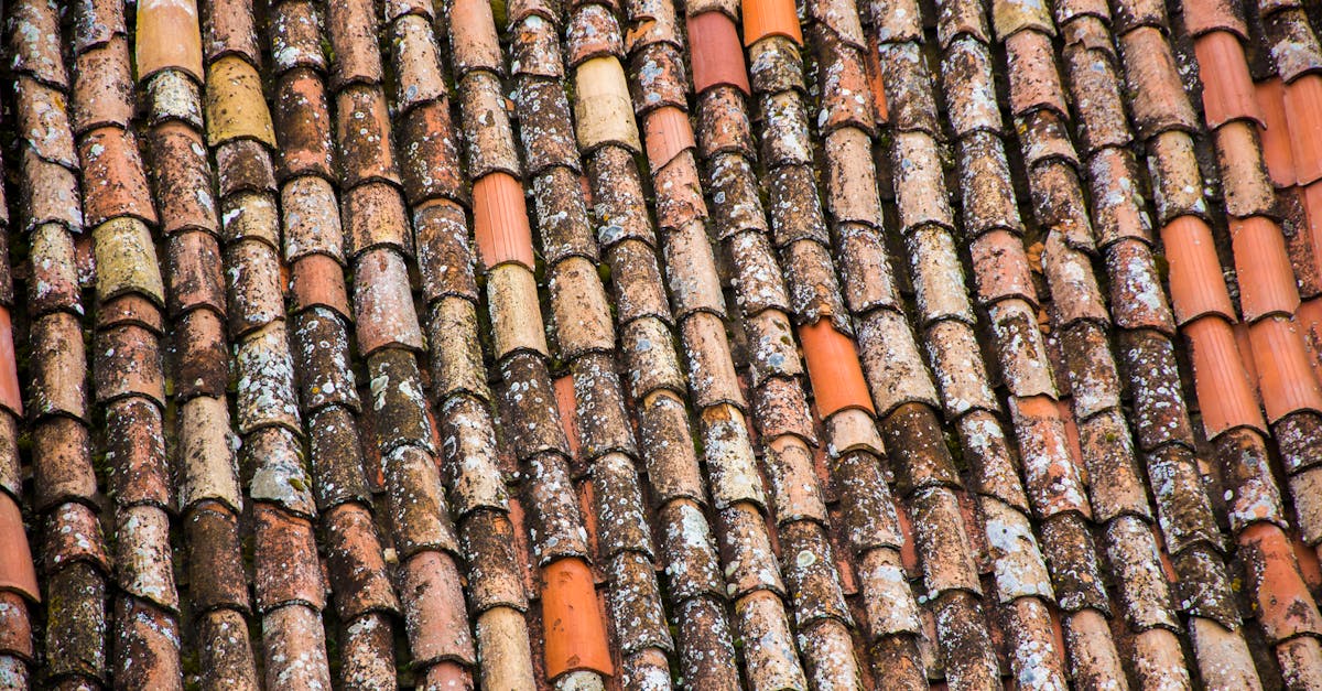 Understanding the Maintenance of Wood Shingle Roofs in the UK
